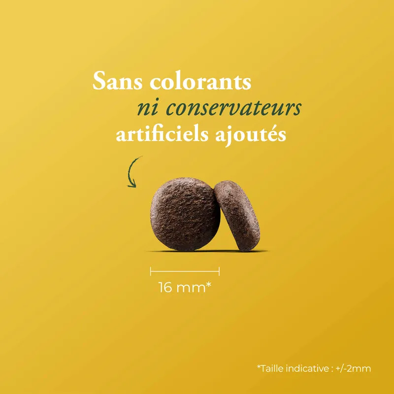 AGNEAU & PATATE DOUCE