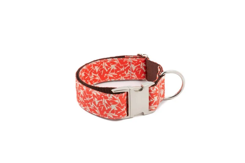 Collier pour chien Borges