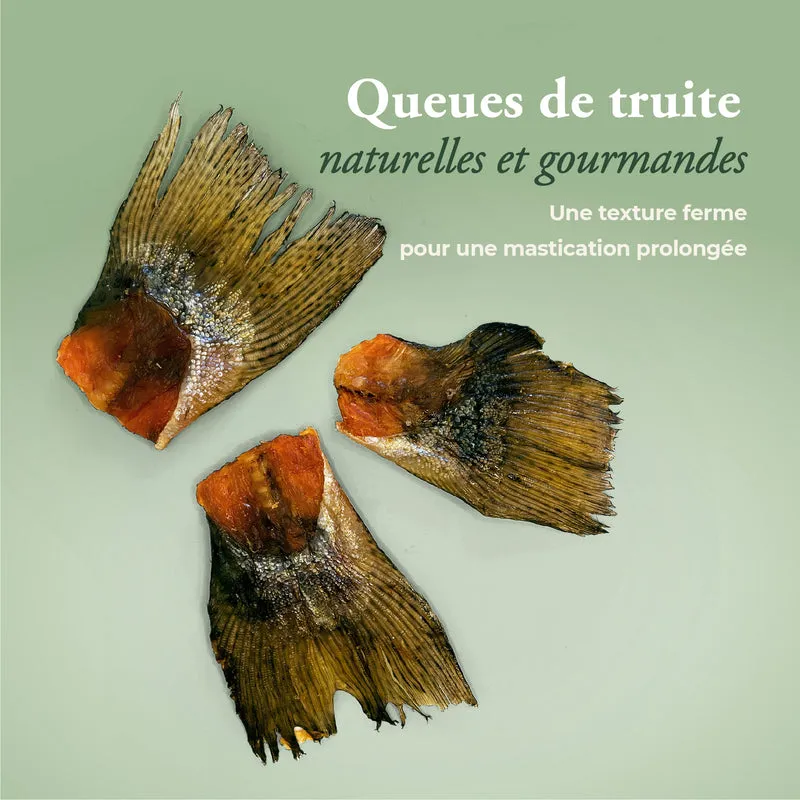 Queues de truite