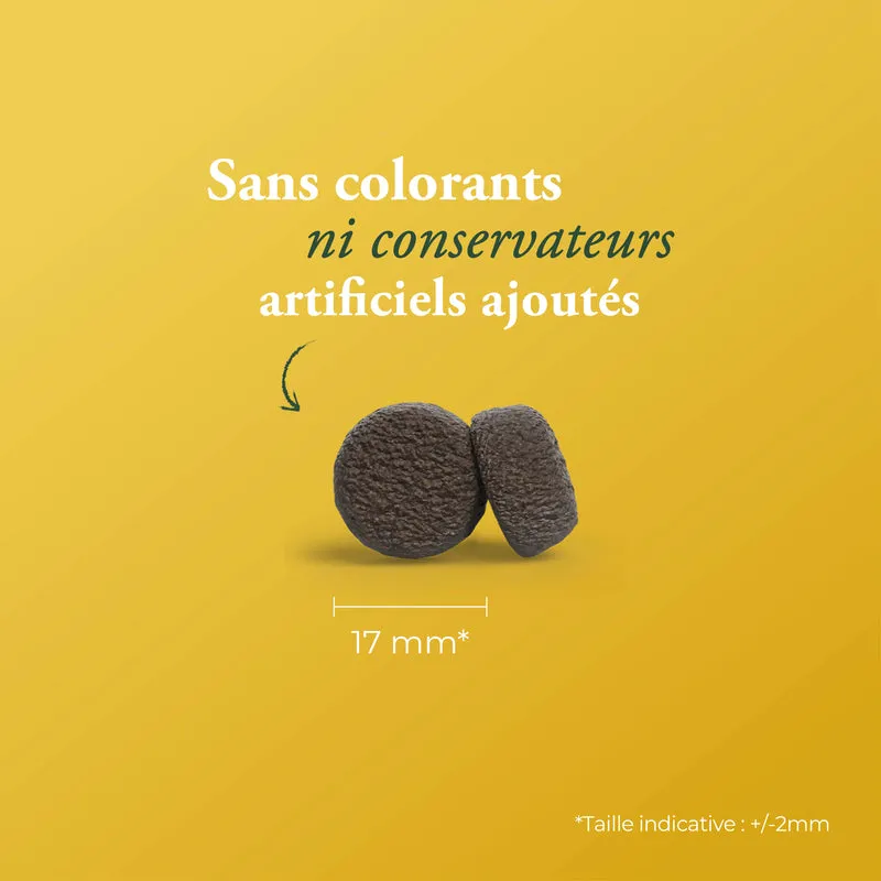 CANARD & POMME DE TERRE