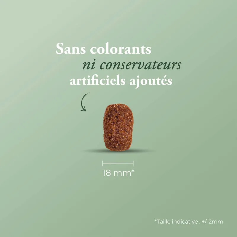 CLASSIC COMPLET