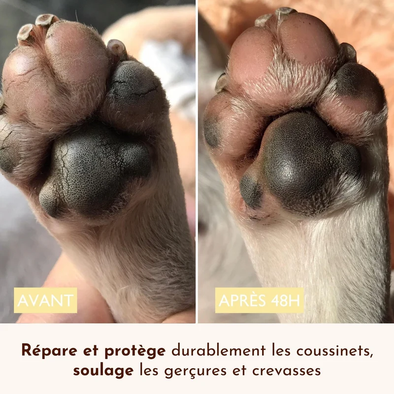 Stick Doux Coussinets Chien - Baume Naturel Réparateur