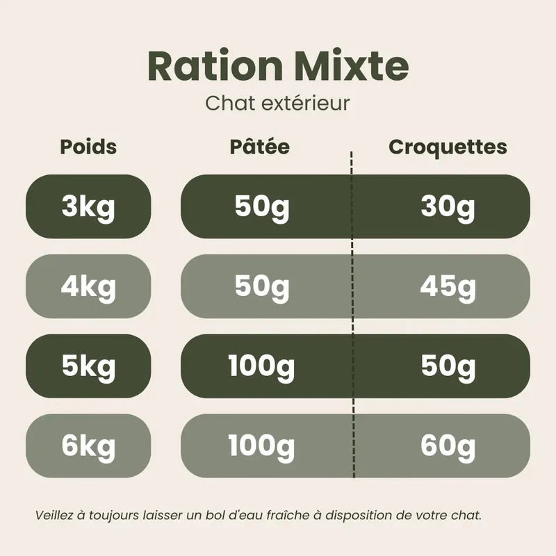 Pâtée pour chat sans céréales au sanglier sauvage