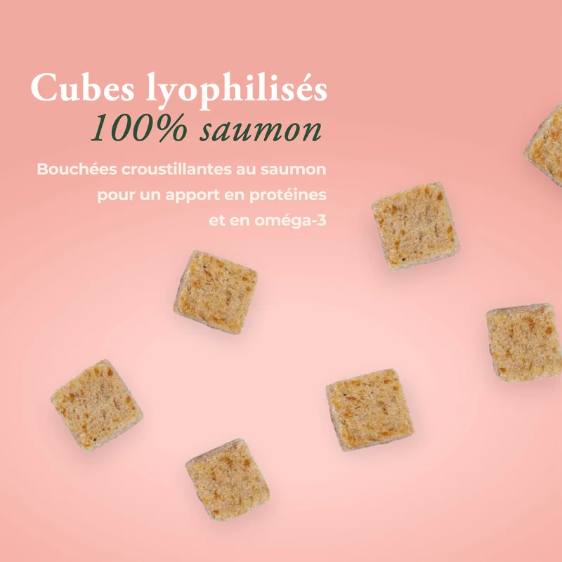 PEAU & PELAGE 100% SAUMON CHAT