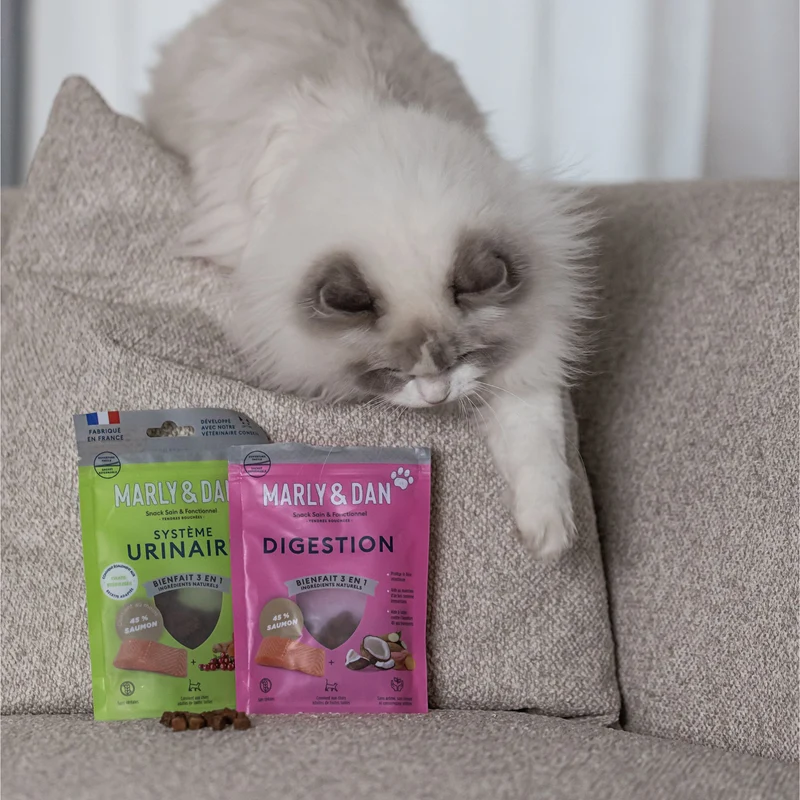 DIGESTION CHAT (DEVIENT SOUTIEN IMMUNITAIRE)