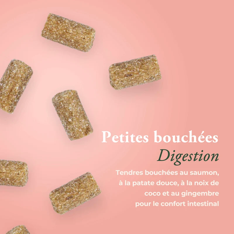 DIGESTION CHAT (DEVIENT SOUTIEN IMMUNITAIRE)