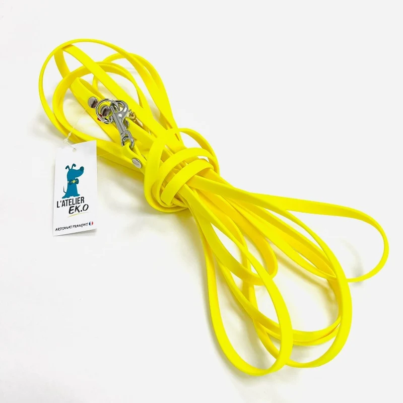 Longe pour petit chien