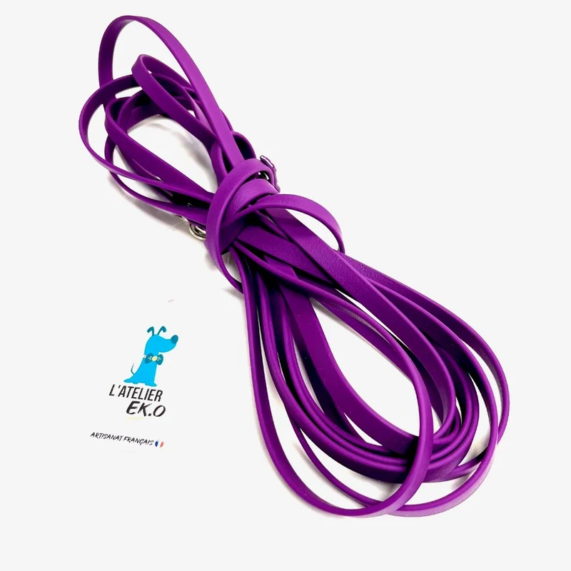 Longe pour petit chien
