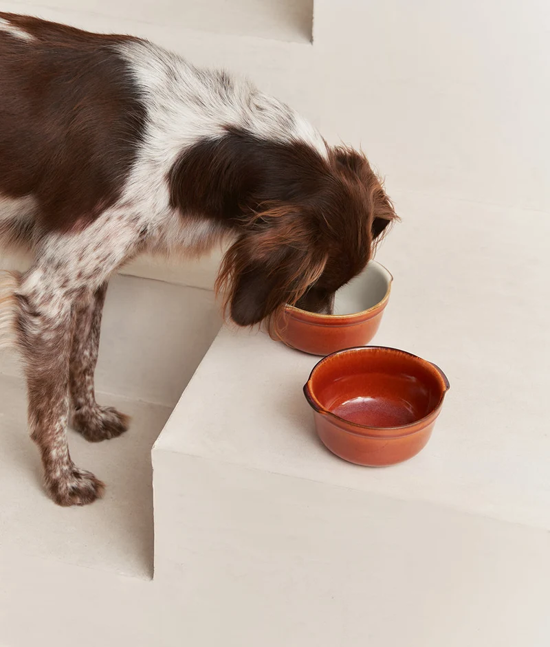 Gamelle pour chien en céramique Lisbonne