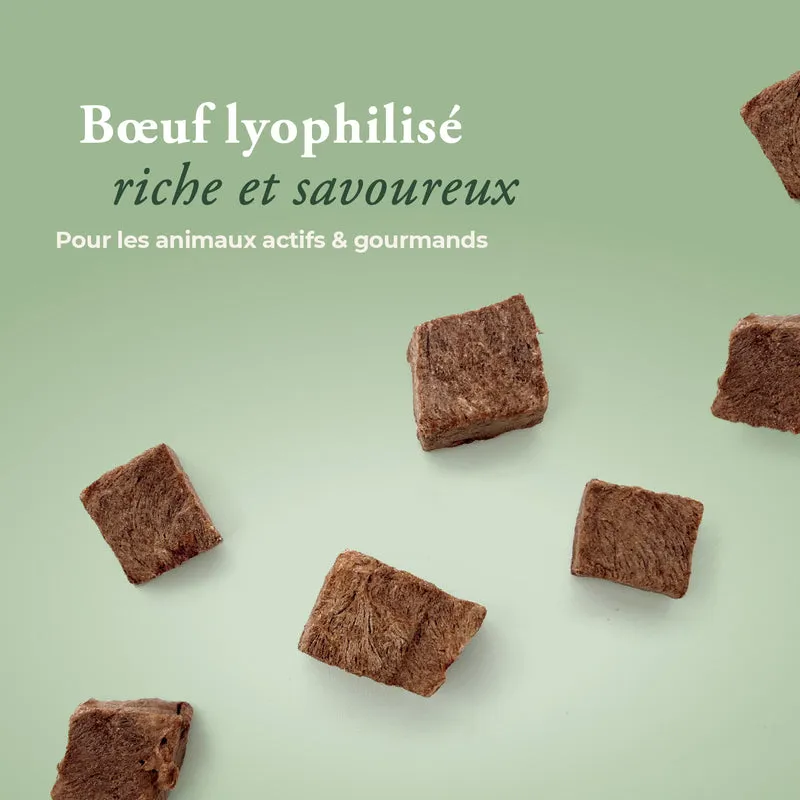 Boeuf lyophilisé