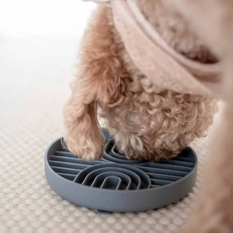 Bol anti glouton pour chien à ventouse