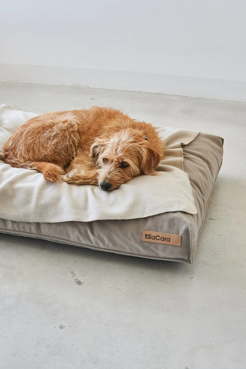Couverture chaude pour chien polaire Unica
