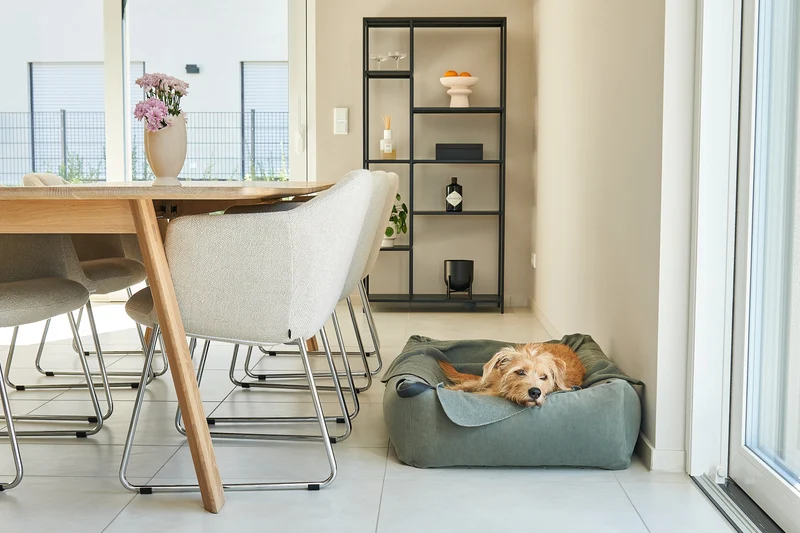 Couverture chaude pour chien polaire Unica