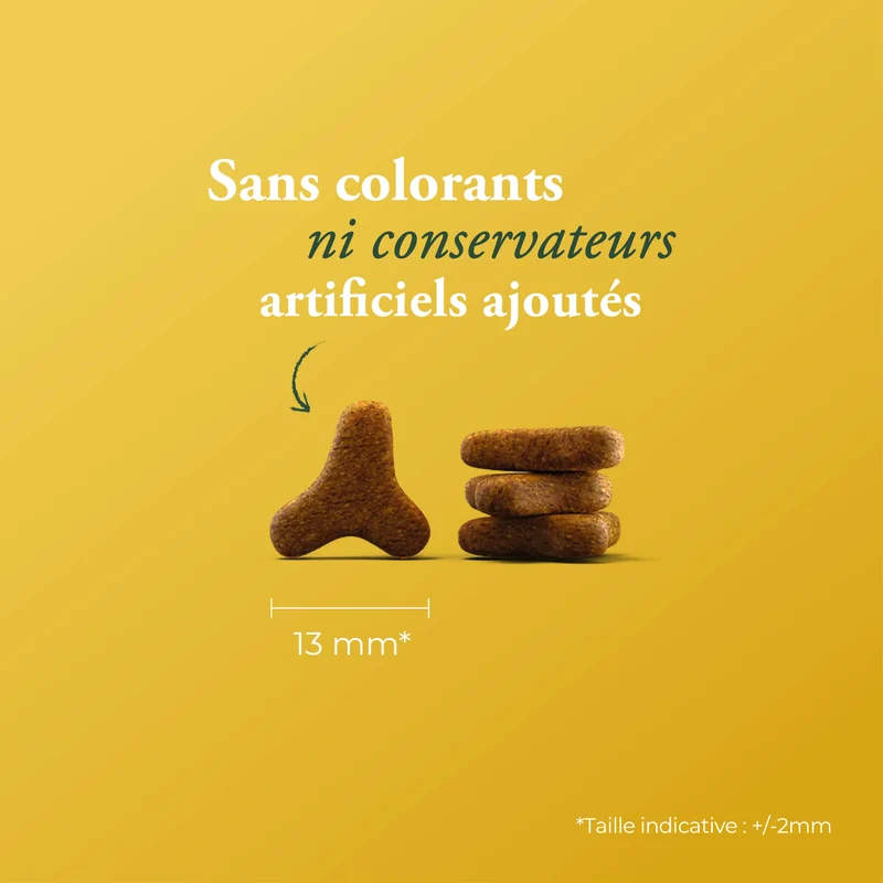 CATELUX