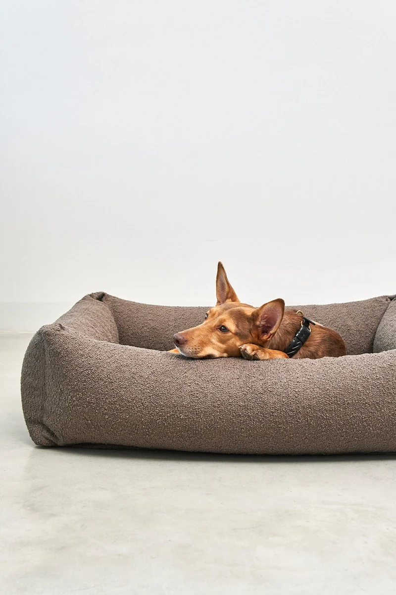 Panier pour chien Mondo