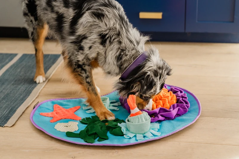 Tapis de Fouille pour Chien "Coral Cove"