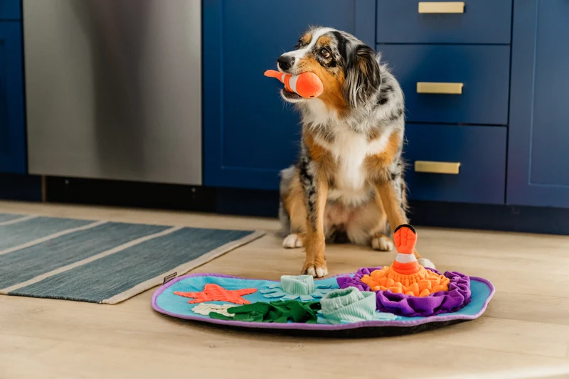 Tapis de Fouille pour Chien "Coral Cove"