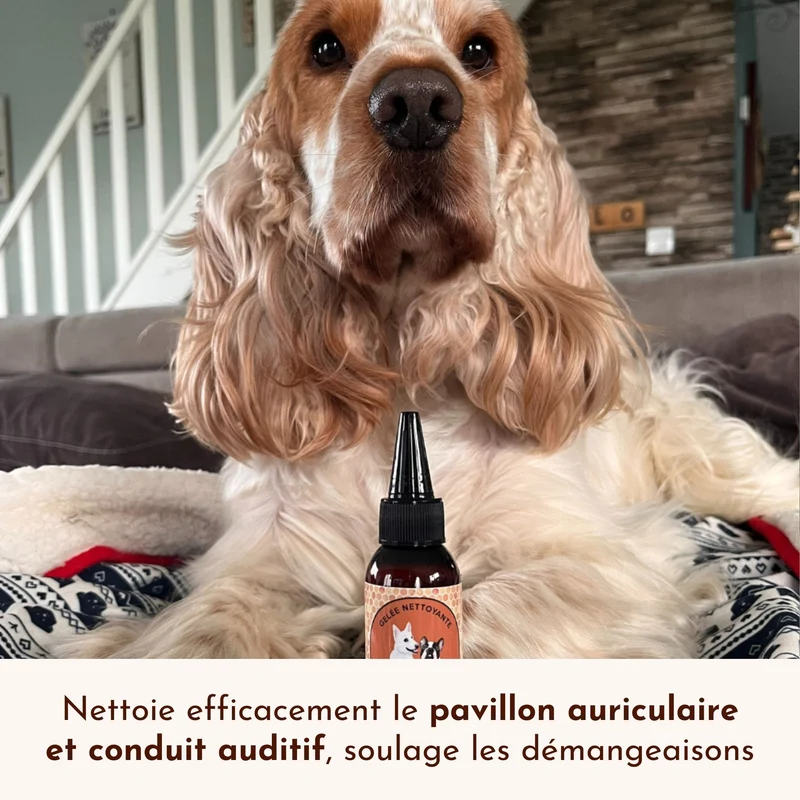 Nettoyant Naturel pour les Oreilles des Chiens Pot de Miel