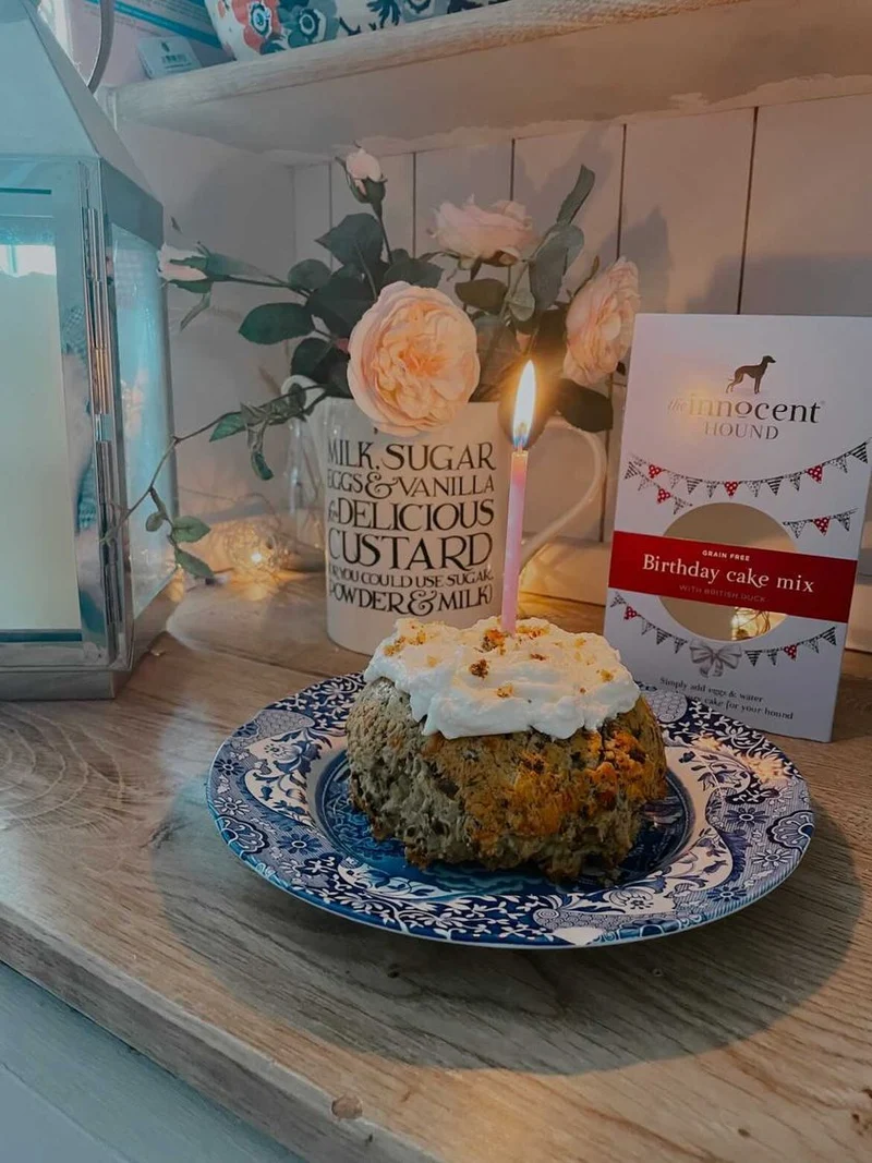 Préparation pour gâteau d'anniversaire