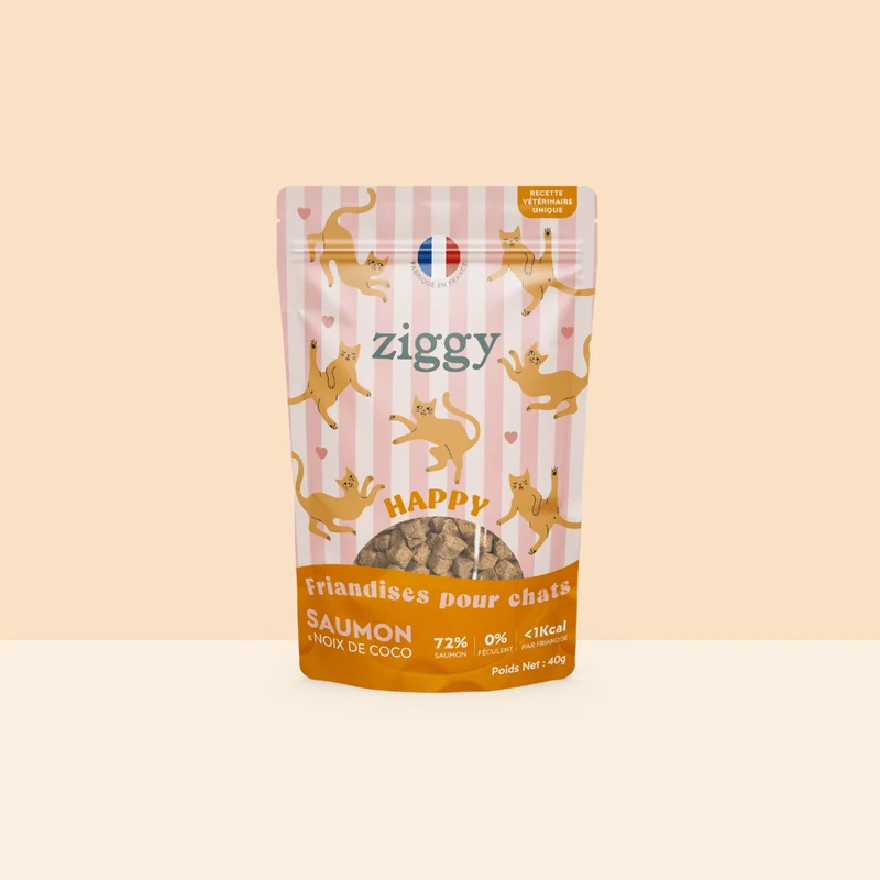 Friandises Happy Ziggy Saumon & Coco