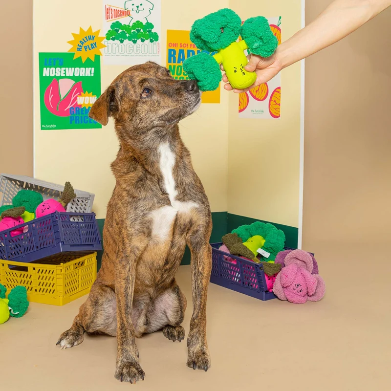 Jouet Brocolis Nosework pour Chien The FurryFolks