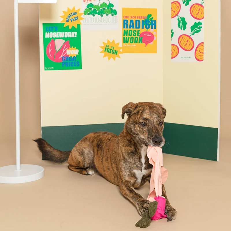 Jouet Radis Nosework pour Chien The FurryFolks