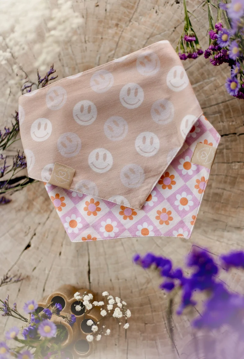Bandanas pour chien colorés