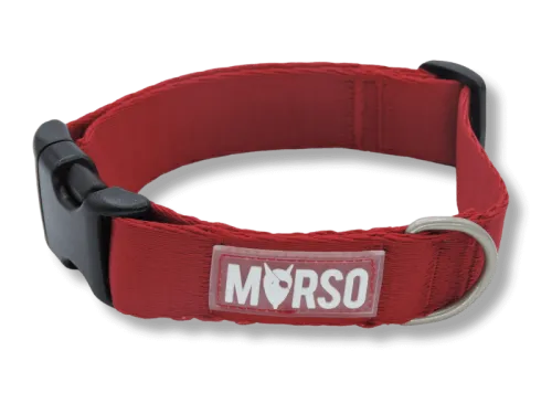 Collier chien recyclé MORSO® – Collection Solid Color