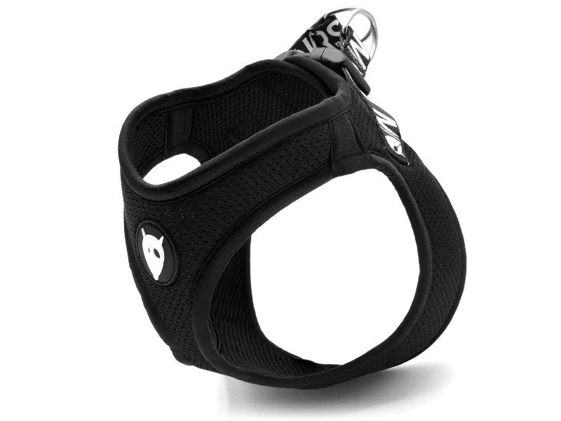 Harnais body Mesh