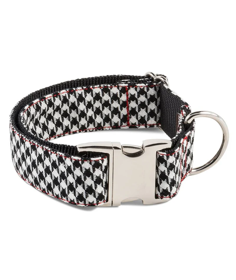Laisse pour chien Ribes