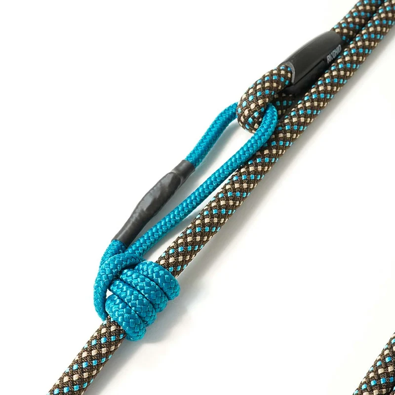 Laisse pour chien en corde et mousqueton d'escalade