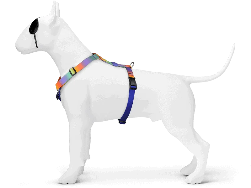 Harnais en H pour chien MORSO® SPRING BLOSSOM