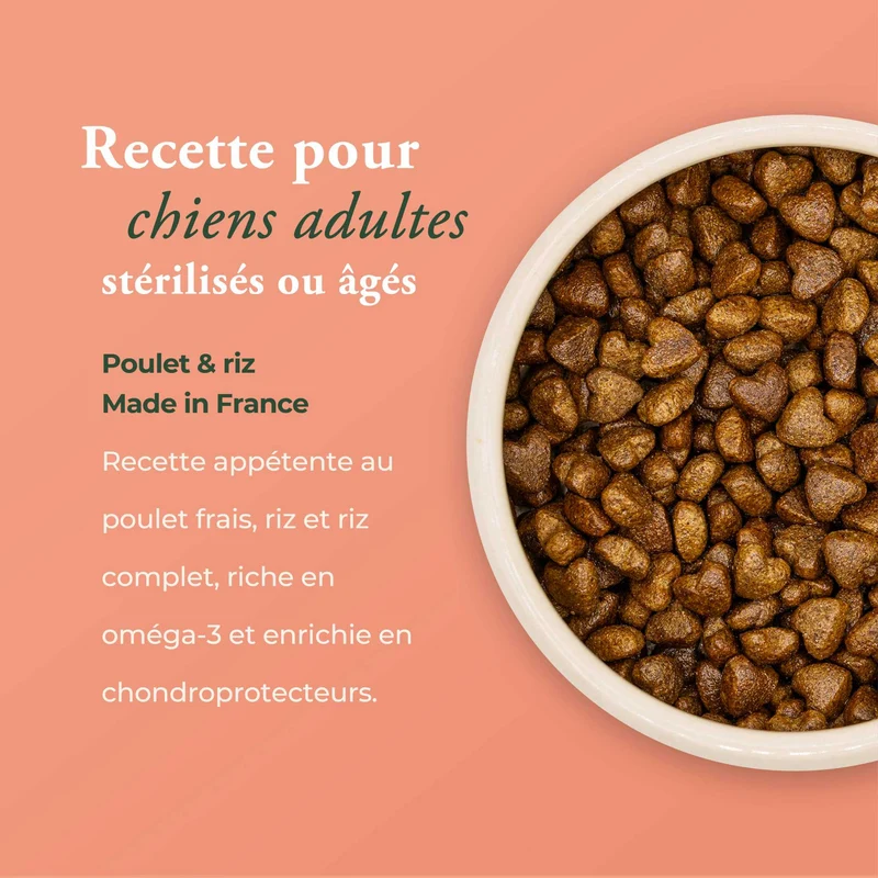 LA BISTROCOCOTTE AVEC RIZ