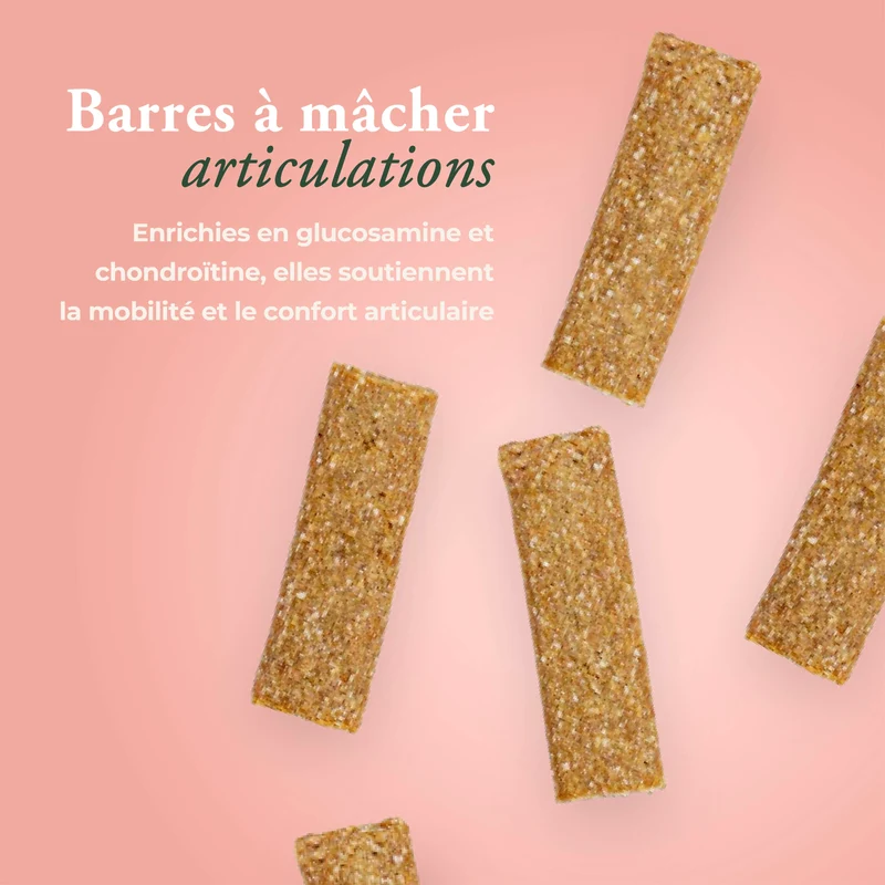 ARTICULATIONS