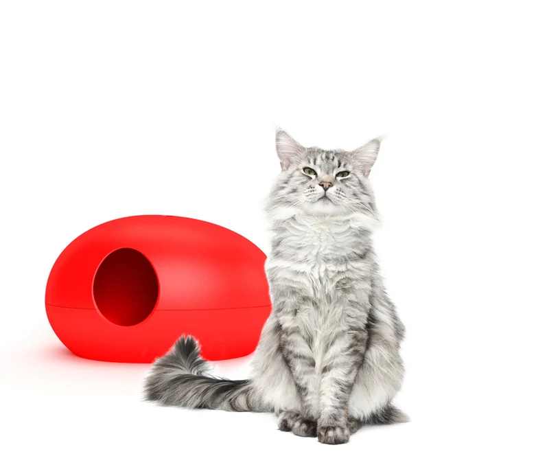 Litière ou niche design pour chat
