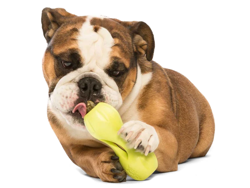 Jouet d'occupation pour chien Qwizl Zogoflex