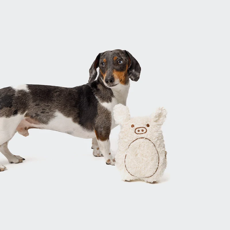Jouet pour chien cochon Harry