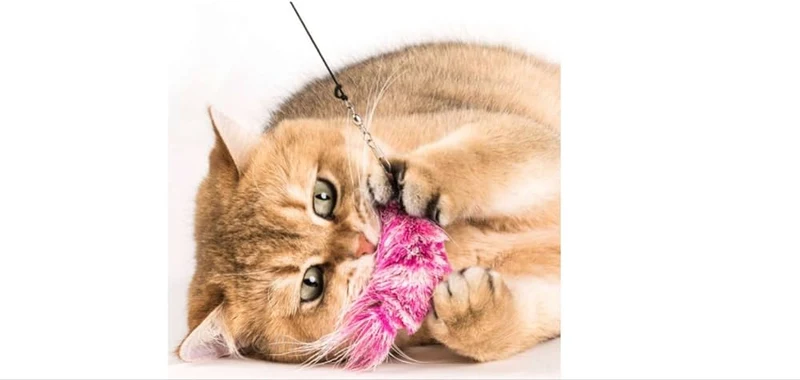 Jouet Crevette interchangeable pour canne Purrs Poursuit