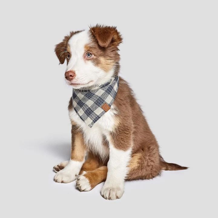 Bandana pour chien Vichy beige/ bleu