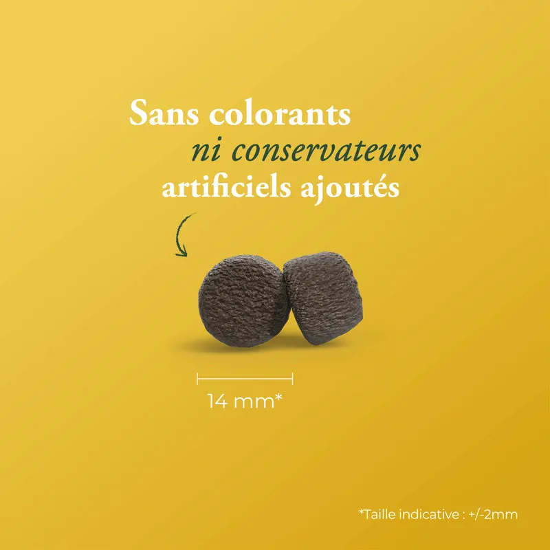 HAUTE PROTEINE AVEC POULET (EX-HIGH ENERGY)