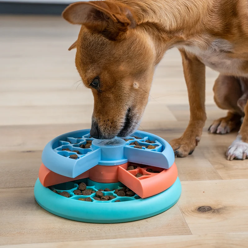 Puzzle pour chiots et petits chien Niv.2