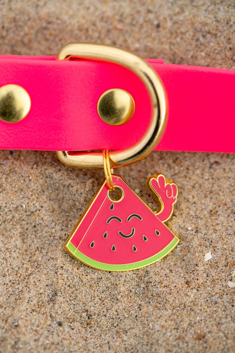 Médailles personnalisables chiens Brooch (16 modèles)