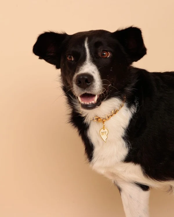 Médailles personnalisables chiens Brooch (16 modèles)
