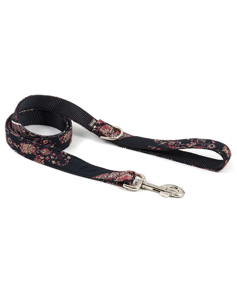 Collier pour chien Mieres