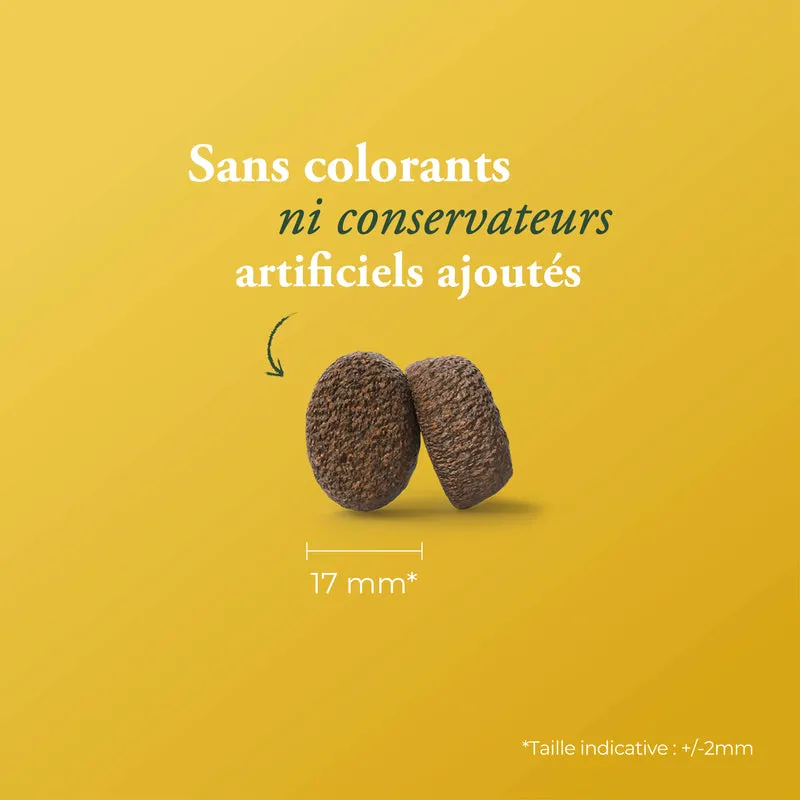 OPTINESS