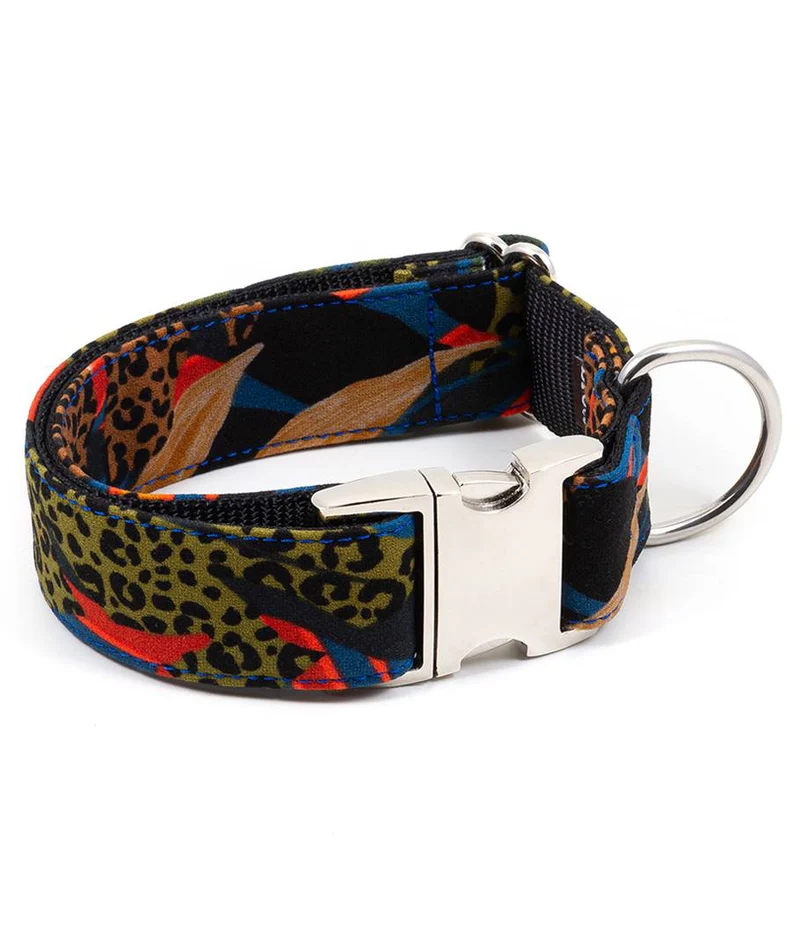 Collier pour chien Miramar