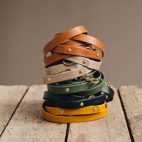 Laisse fine pour chien en cuir ajustable Lasso Air Band & Roll