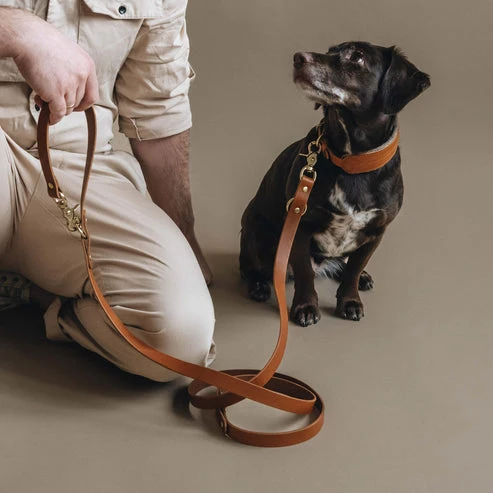 Laisse fine pour chien en cuir ajustable Lasso Air Band & Roll