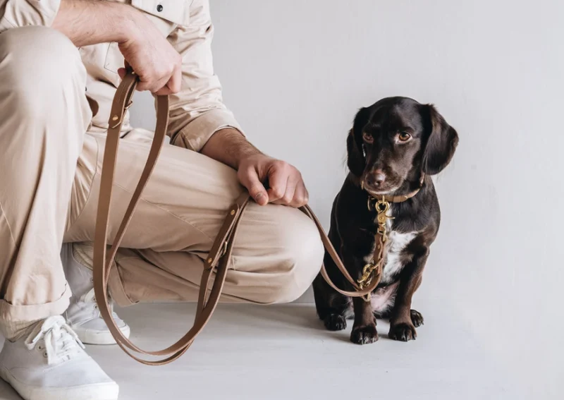 Laisse fine pour chien en cuir ajustable Lasso Air Band & Roll