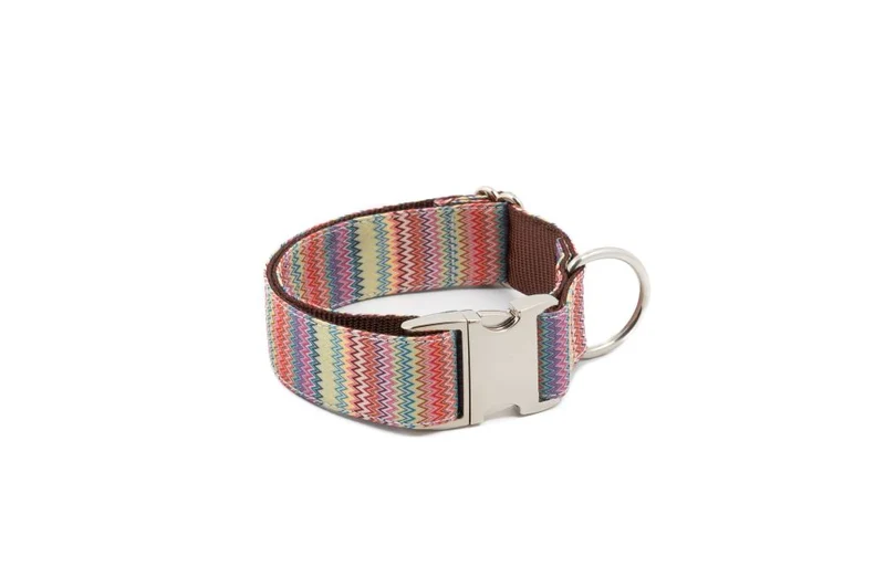 Collier pour chien Llavaneres
